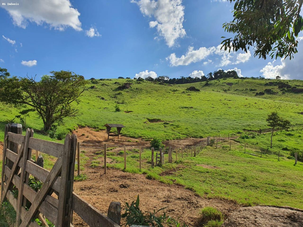 Fazenda à venda com 2 quartos, 220m² - Foto 7
