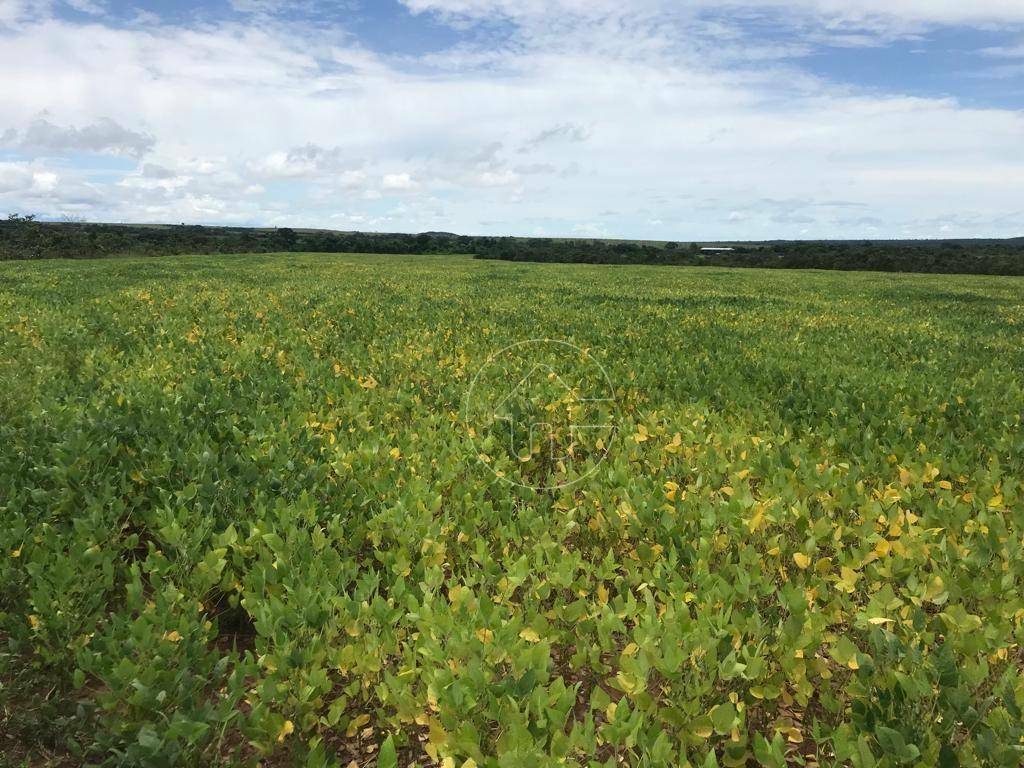 Fazenda à venda, 5000000M2 - Foto 7