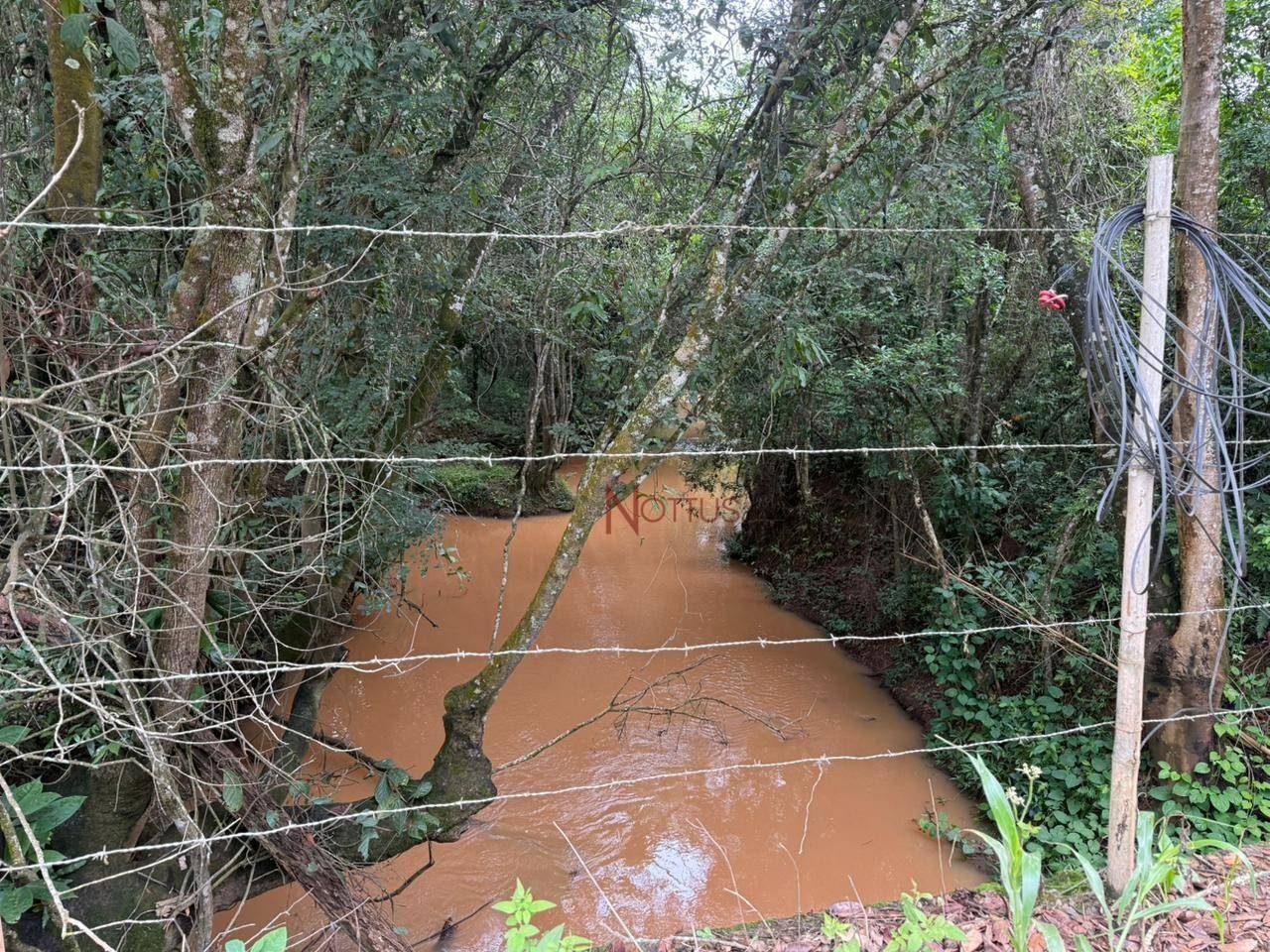 Terreno, 6072 m² - Foto 2