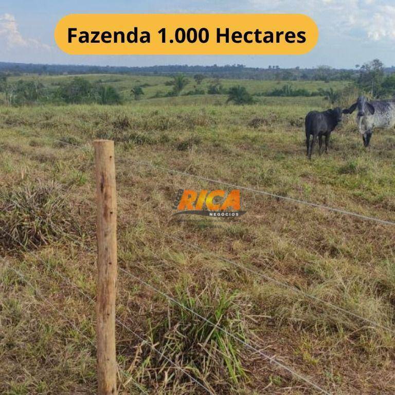 Fazenda-Sítio-Chácara, 1000 hectares - Foto 1