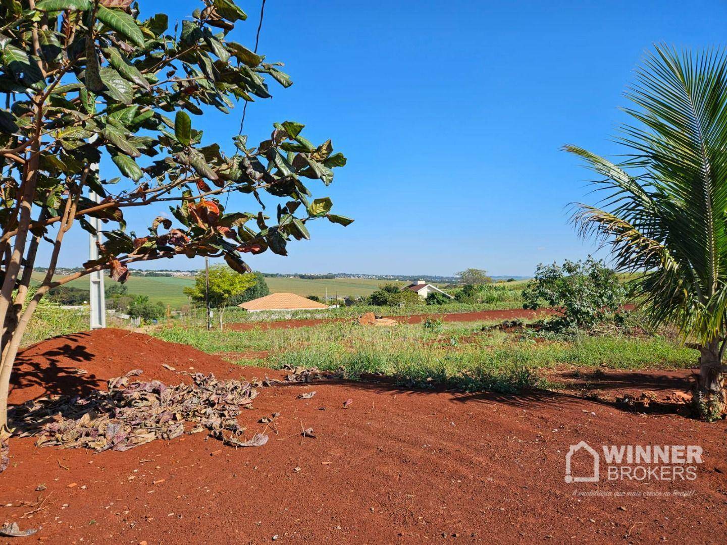 Chácara à venda com 1 quarto, 2500M2 - Foto 1