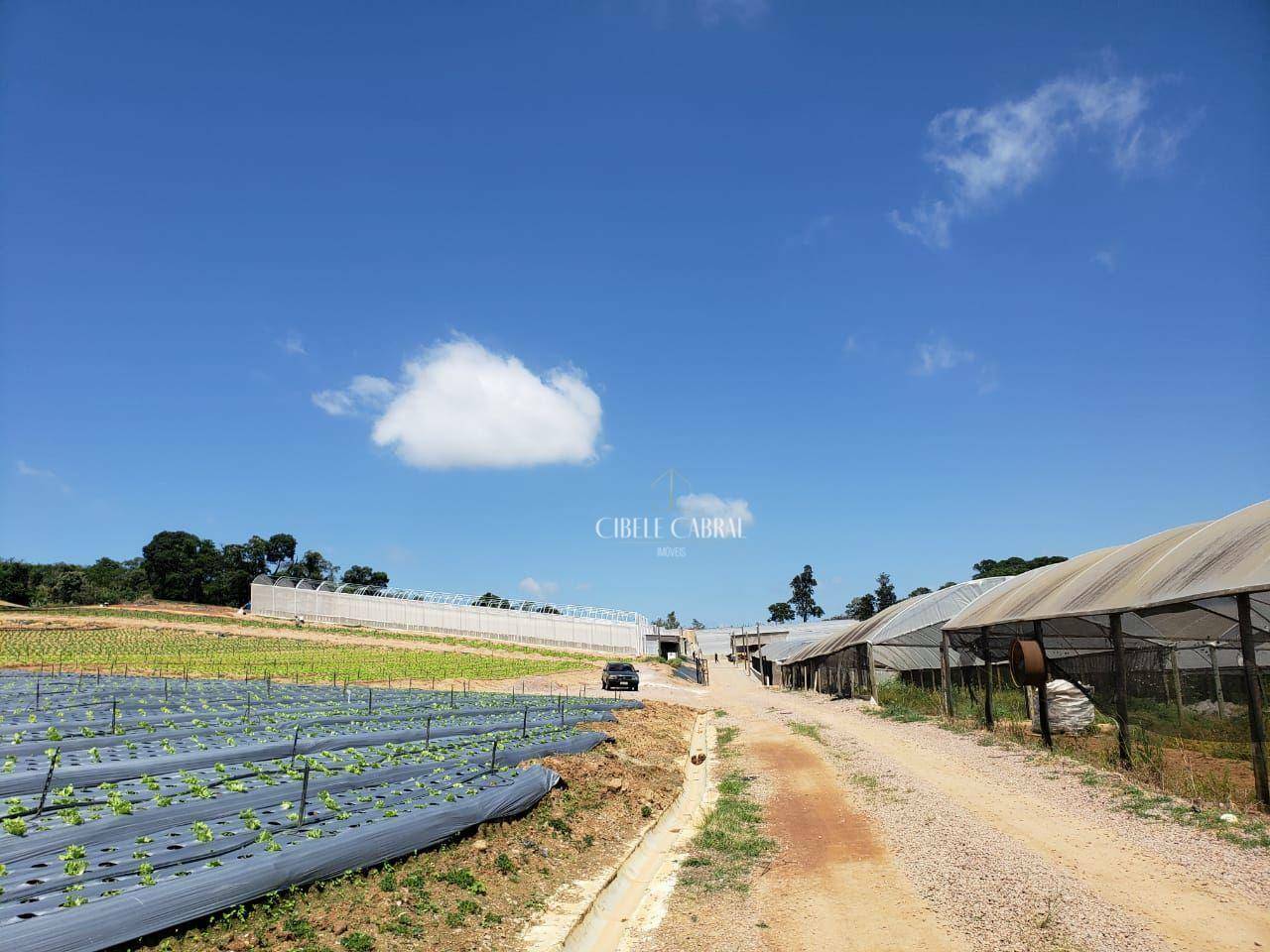 Terreno à venda, 84000M2 - Foto 21