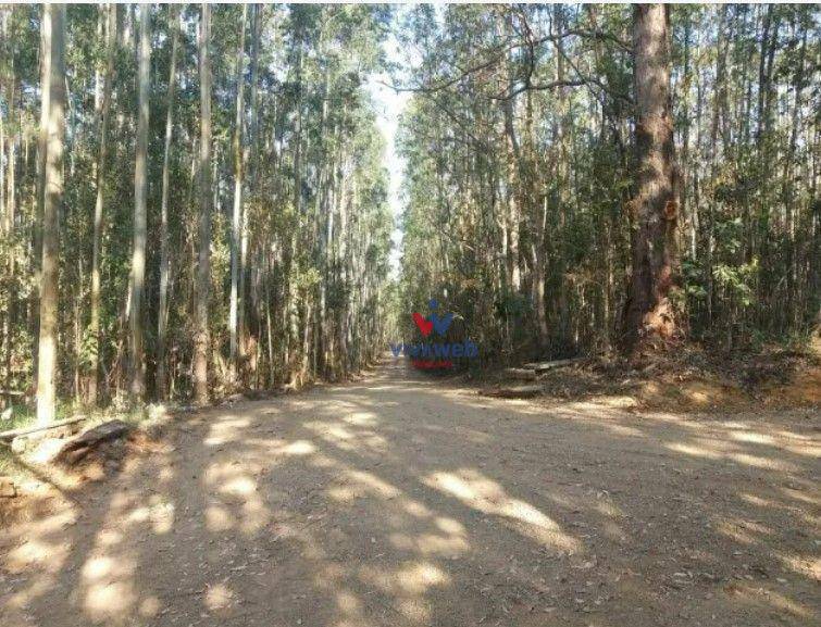 Fazenda à venda com 3 quartos, 1116000M2 - Foto 11