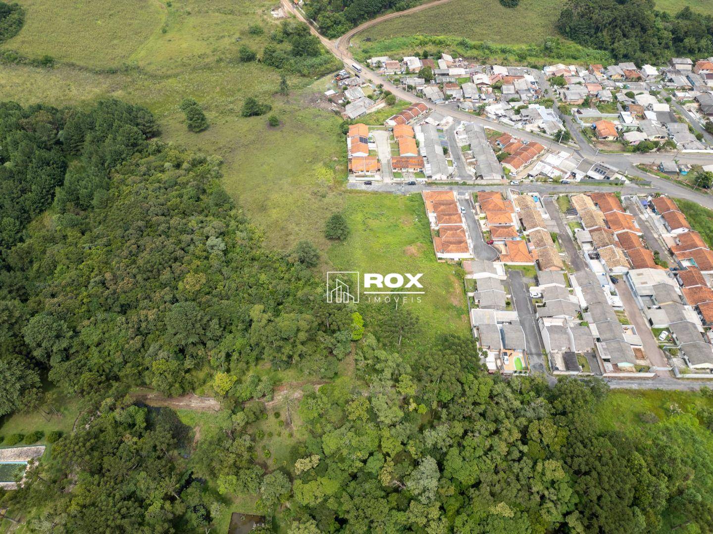 Terreno, 3 hectares - Foto 14