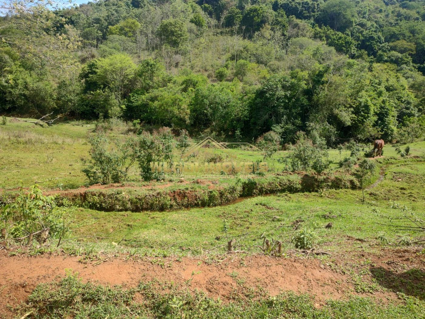 Fazenda à venda, 10m² - Foto 15