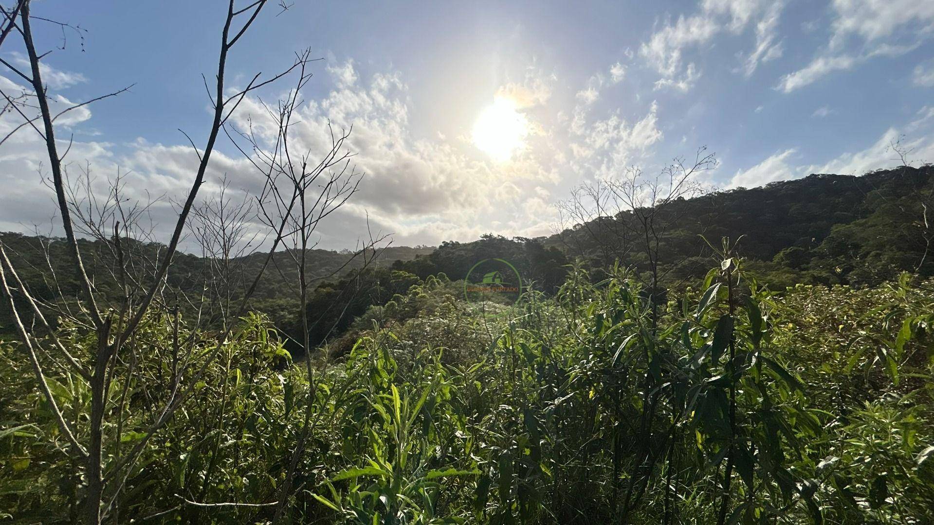 Chácara, 8000 m² - Foto 2