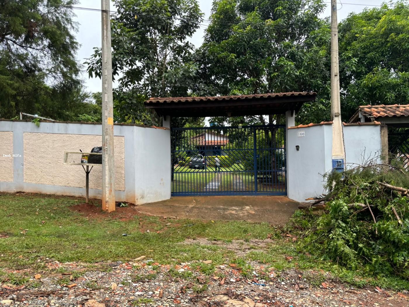 Fazenda à venda com 3 quartos, 1000m² - Foto 4