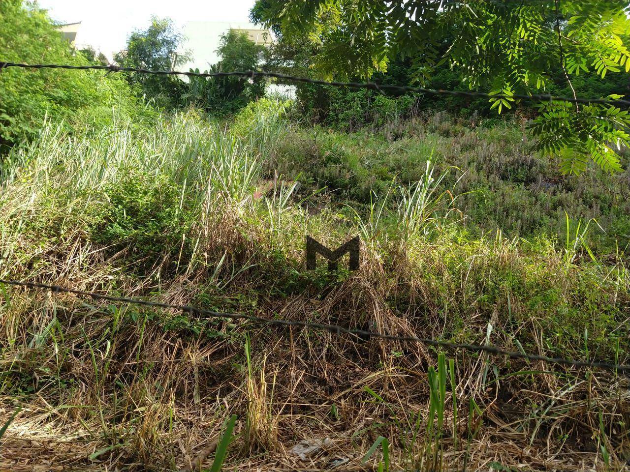 Terreno à venda, 450M2 - Foto 6