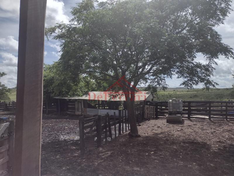 Fazenda-Sítio-Chácara, 4 quartos - Foto 5