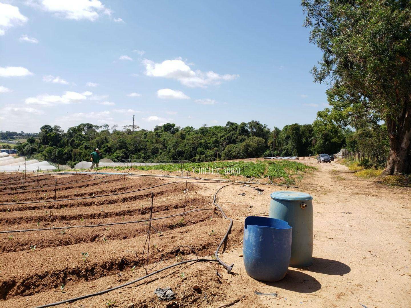 Terreno à venda, 84000M2 - Foto 12