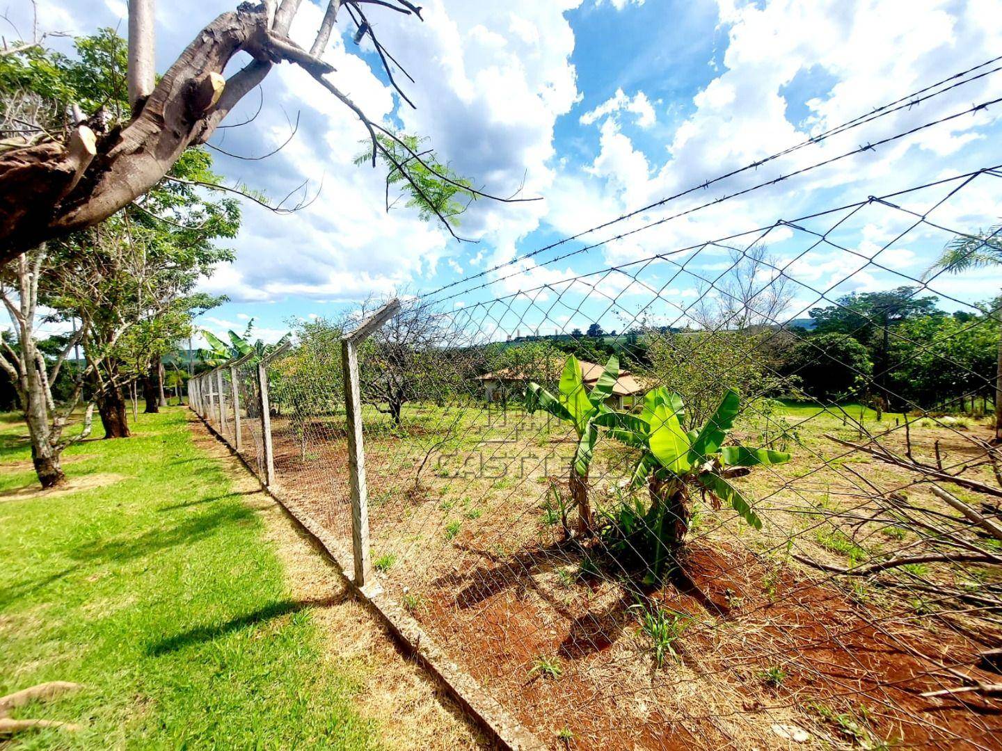 Chácara, 2 quartos, 67 hectares - Foto 3