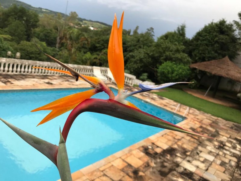 Sítio à venda, 5000m² - Foto 35