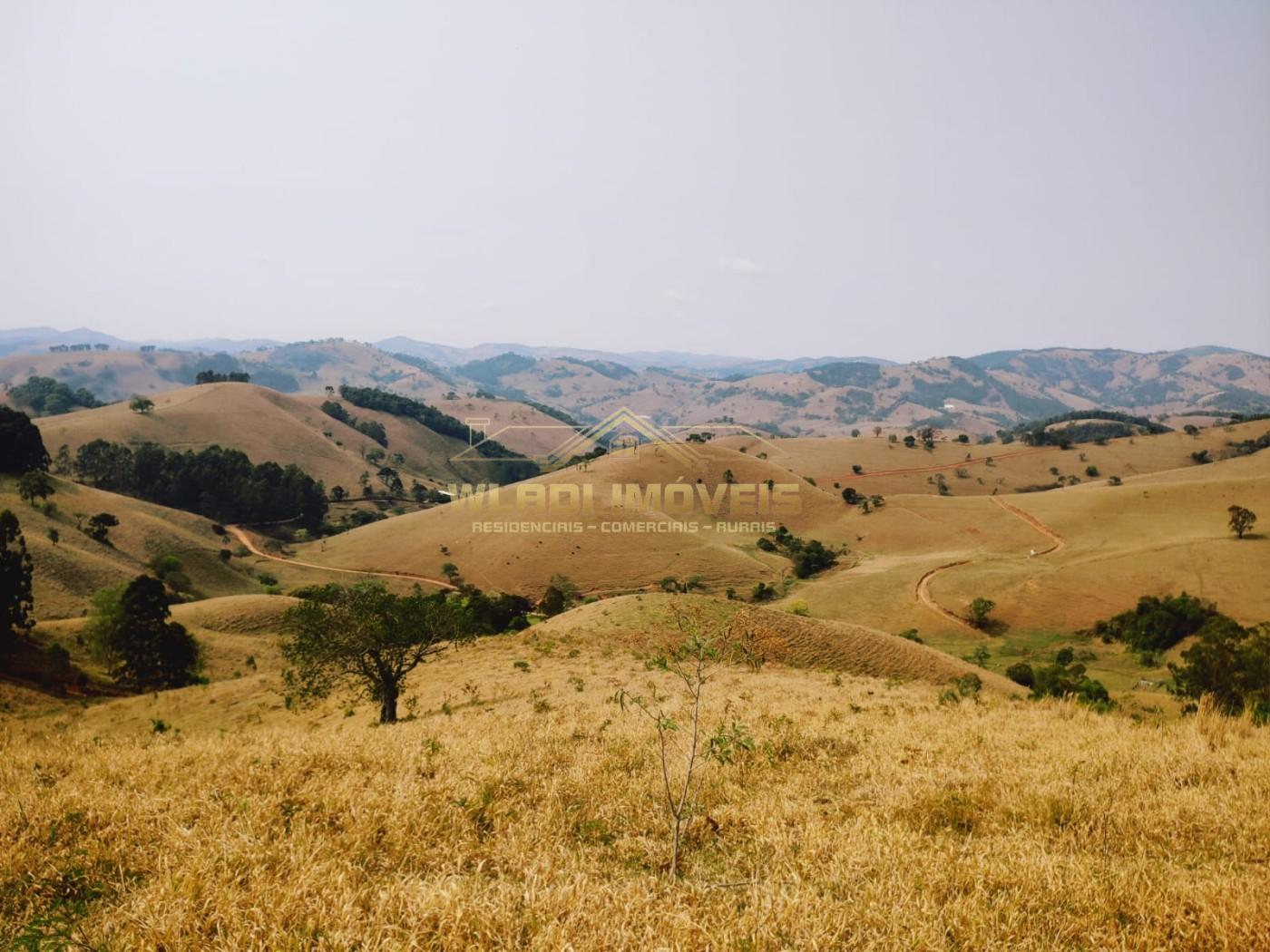 Terreno à venda, 20000m² - Foto 13
