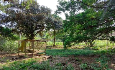 Fazenda à venda com 4 quartos, 50000m² - Foto 17