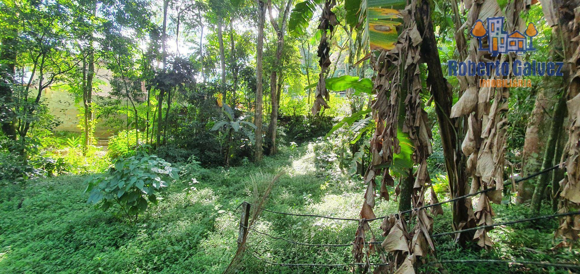 Terreno para alugar, 600M2 - Foto 6