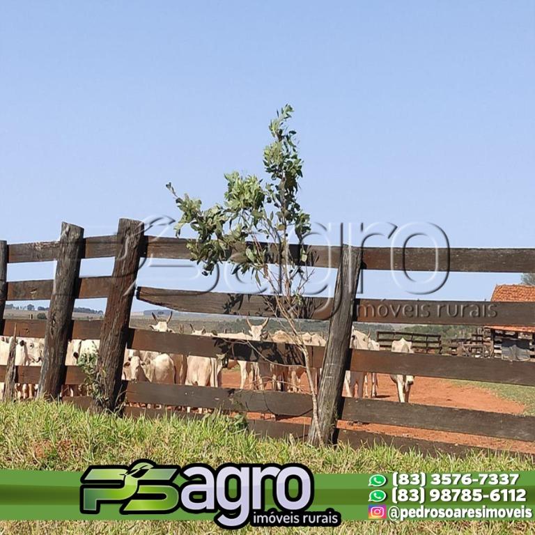 Fazenda à venda, 29669200M2 - Foto 6