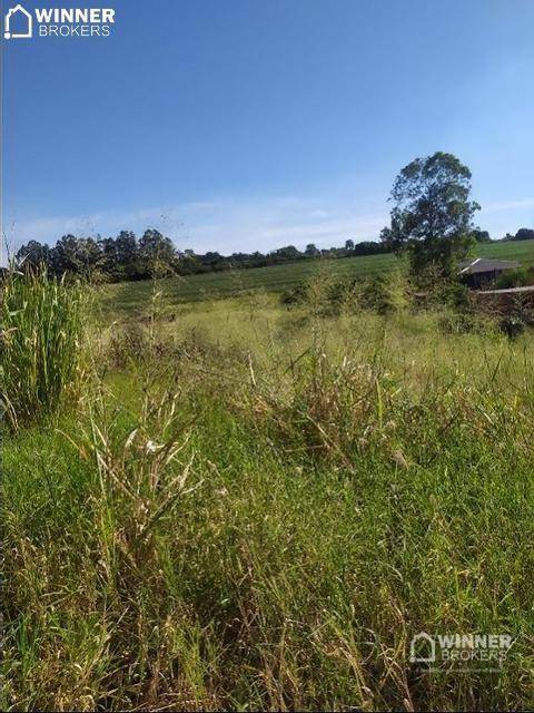 Chácara à venda com 1 quarto, 2500M2 - Foto 2