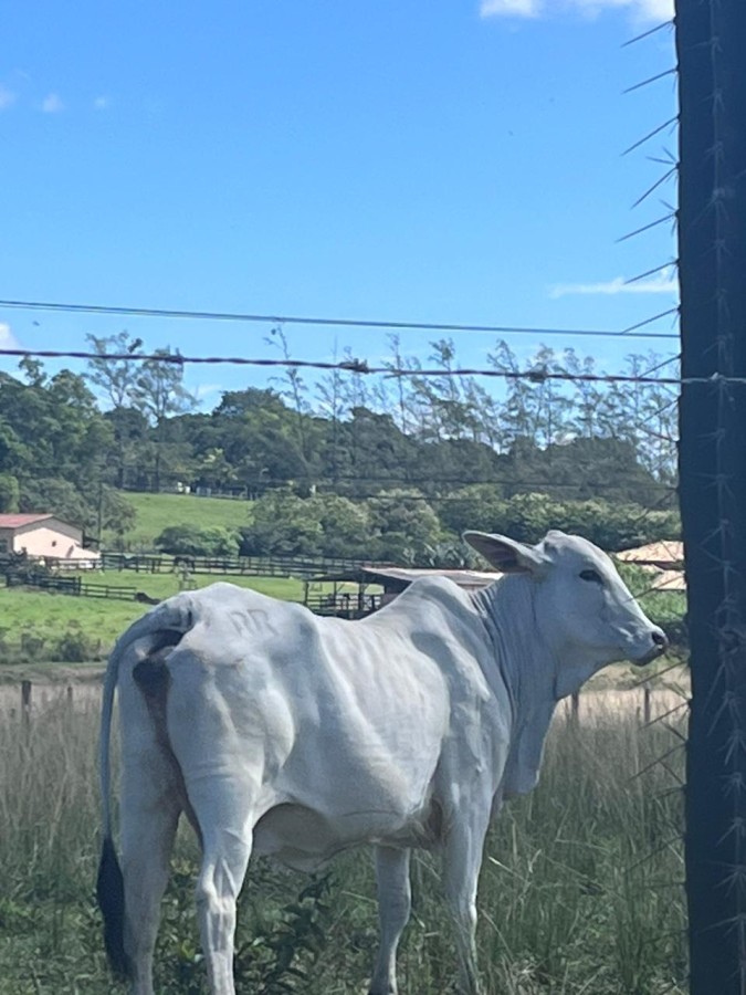 Fazenda à venda, 48400m² - Foto 21