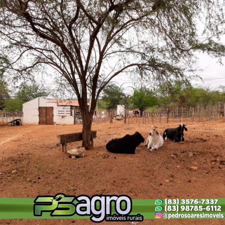 Fazenda-Sítio-Chácara, 190 hectares - Foto 1