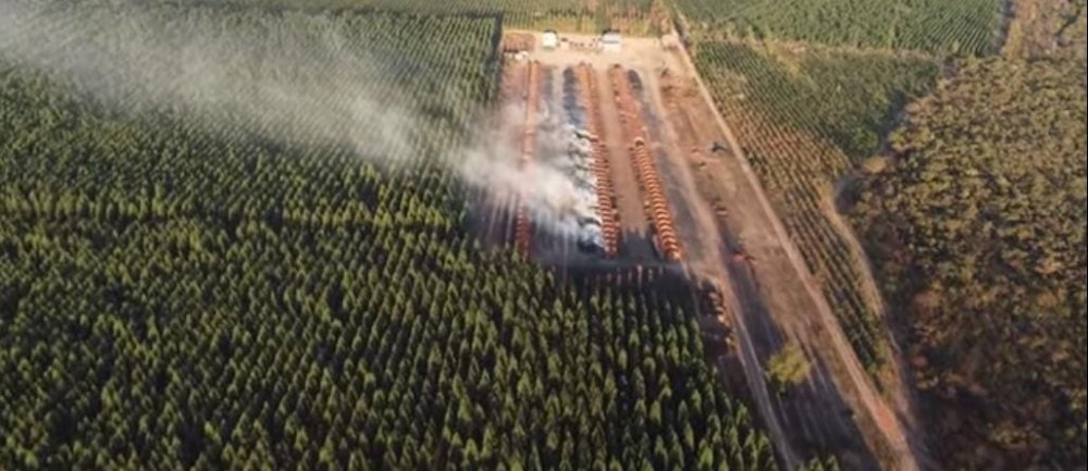 Fazenda-Sítio-Chácara, 1700 hectares - Foto 2