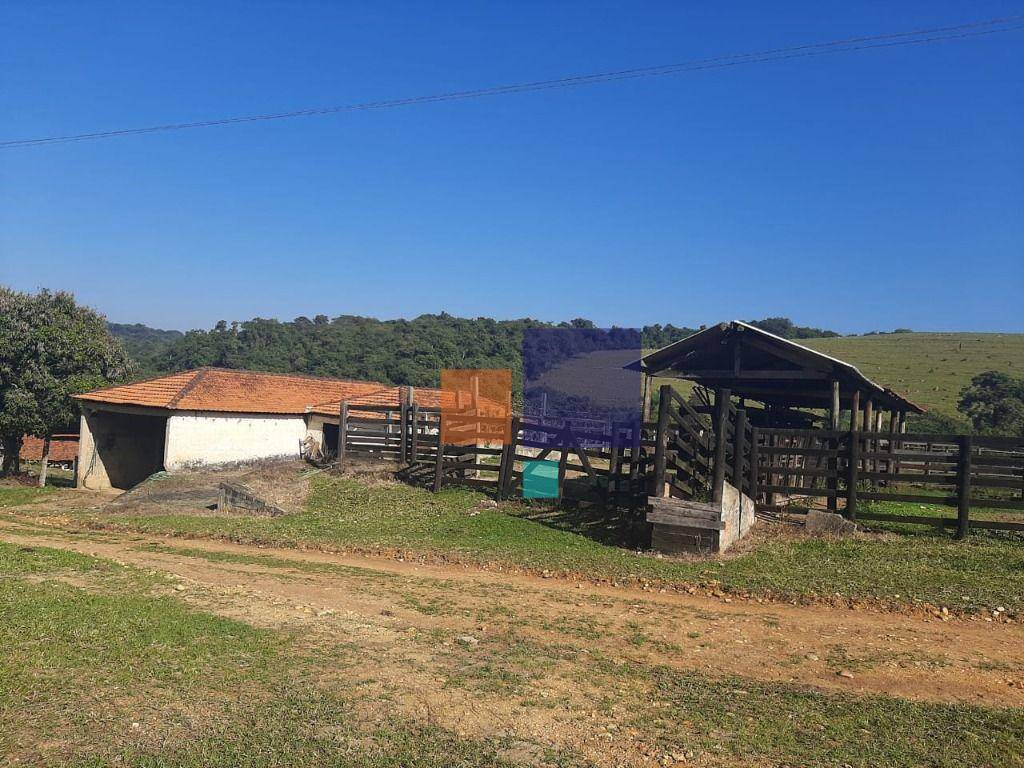 Fazenda, 260 hectares - Foto 3