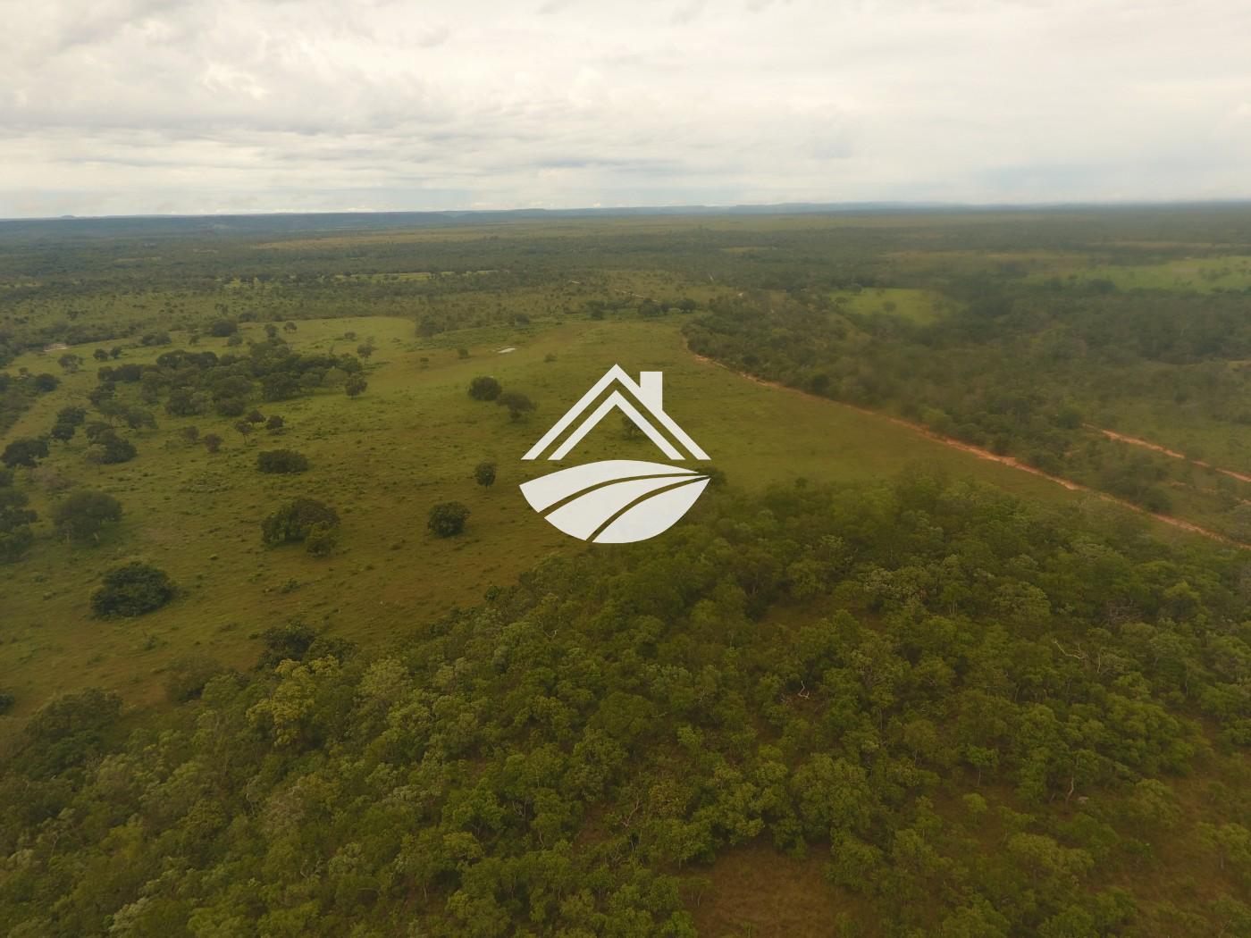 Fazenda à venda, 1m² - Foto 23