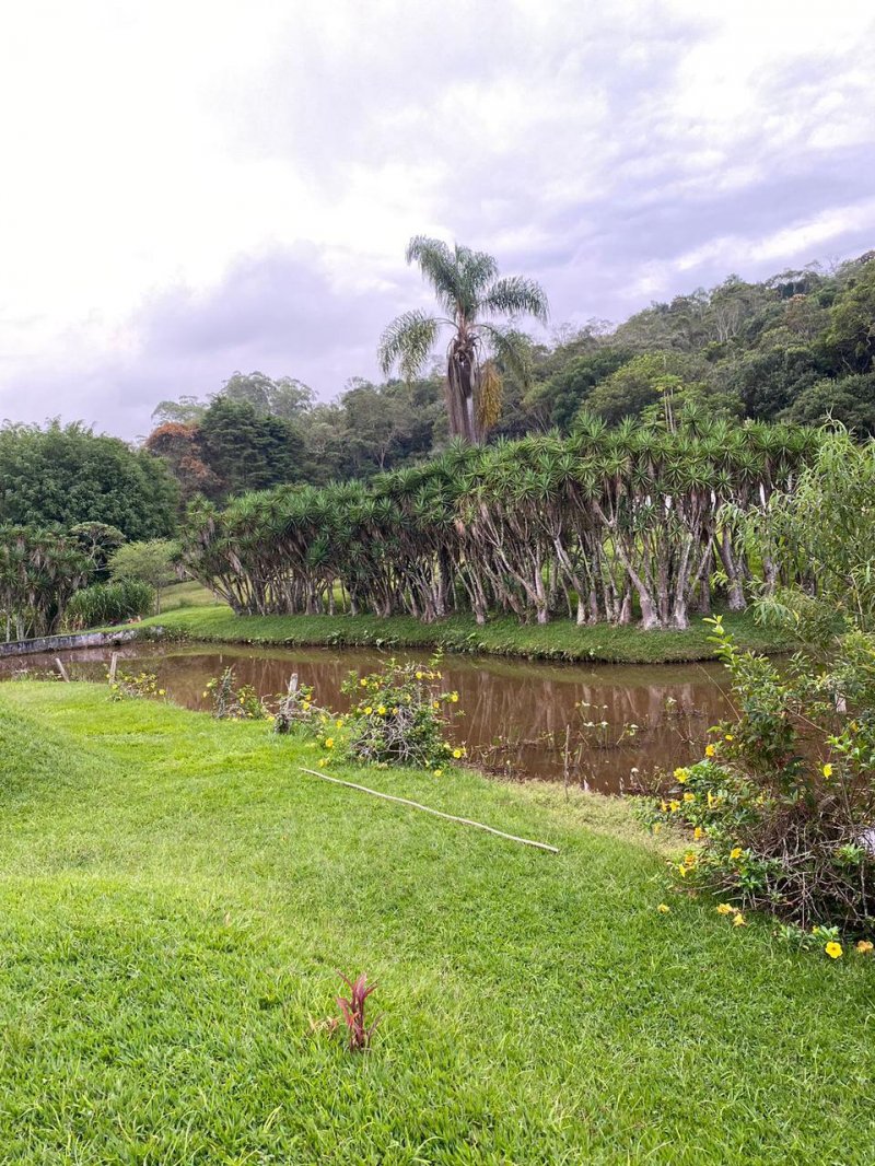 Fazenda à venda com 3 quartos, 24000m² - Foto 8