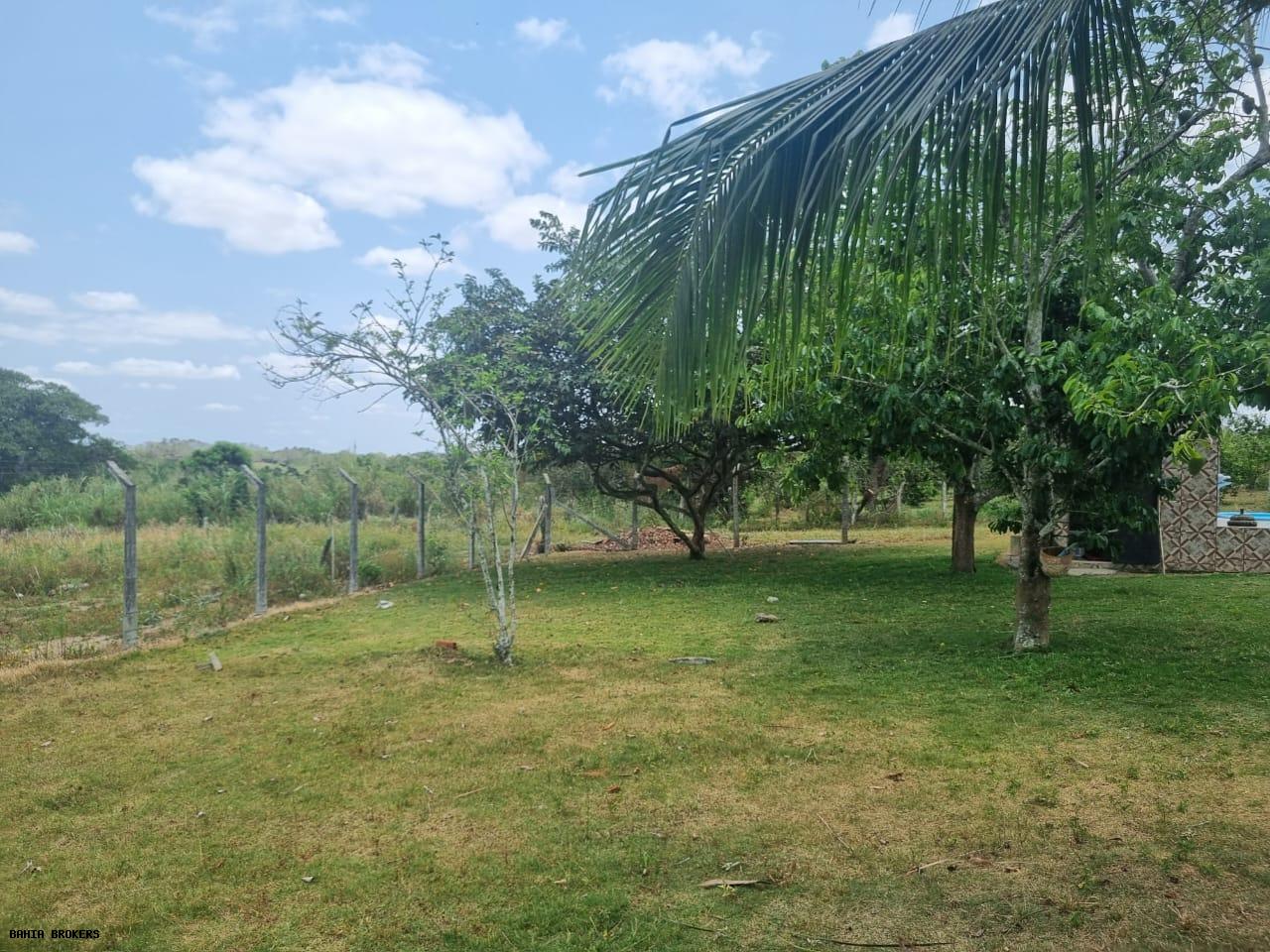 Fazenda à venda, 1000m² - Foto 48