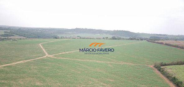 Fazenda, 293 hectares - Foto 2