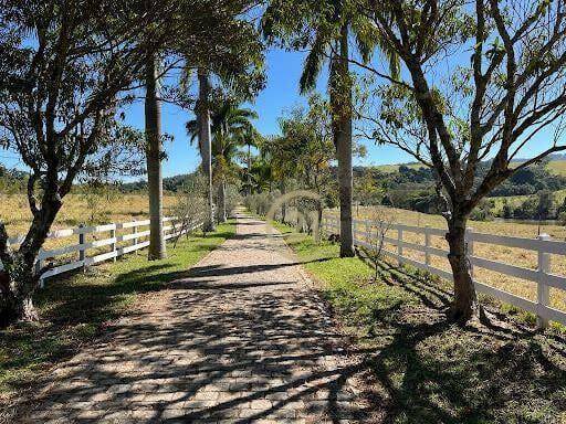 Haras e Área Rural Padrão à venda com 16 quartos, 2400m² - Foto 30