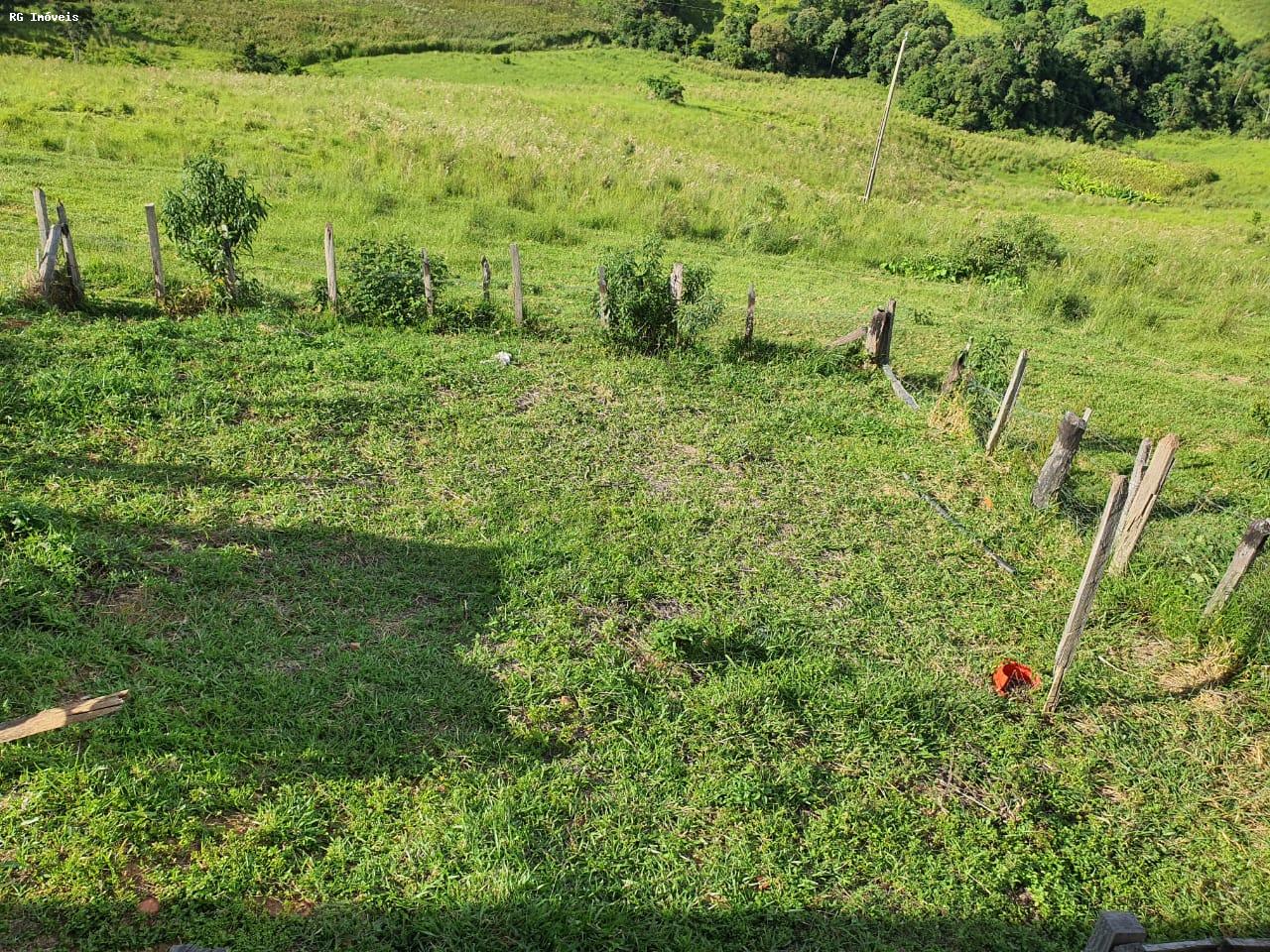 Fazenda à venda com 2 quartos, 220m² - Foto 20