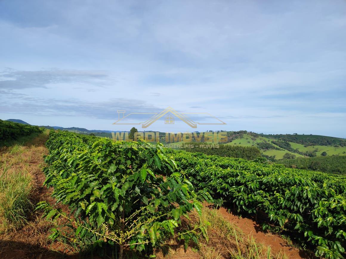 Fazenda à venda, 300m² - Foto 11