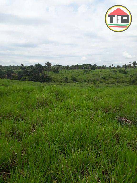 Fazenda à venda, 1597200M2 - Foto 4