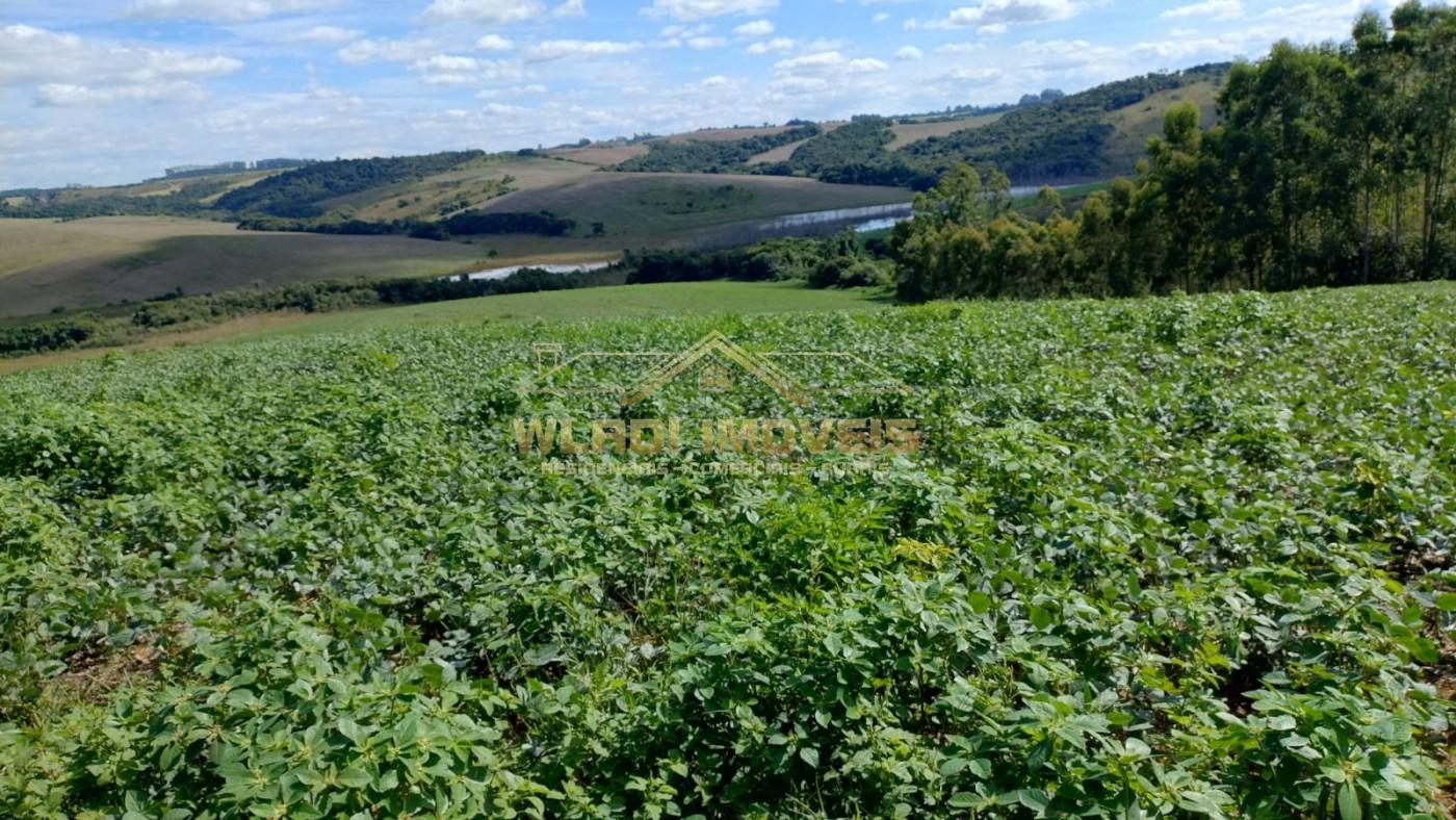Fazenda à venda, 160m² - Foto 19