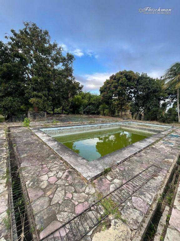 Chácara à venda com 3 quartos, 9000M2 - Foto 10