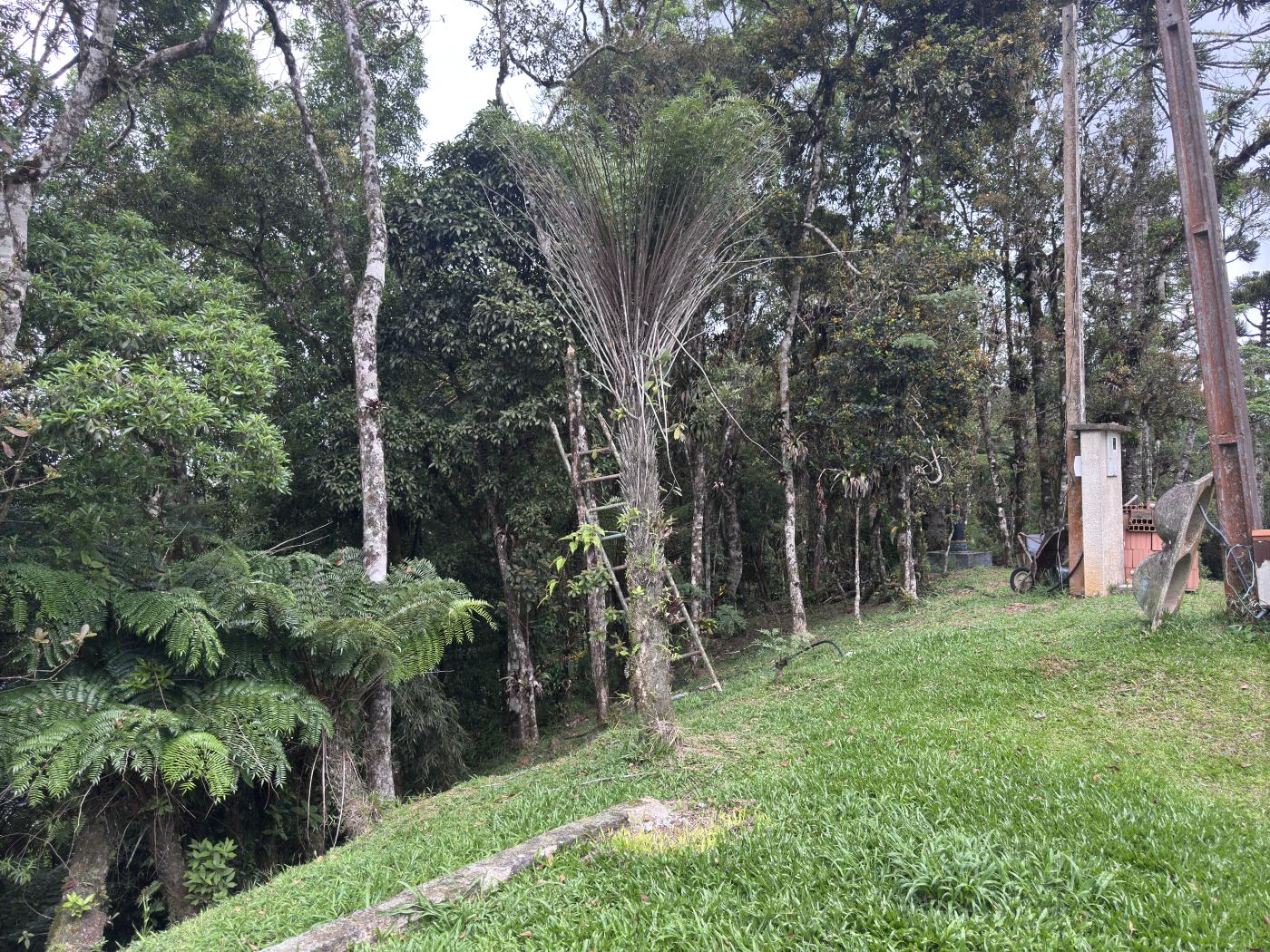 Chácara à venda com 4 quartos, 15000m² - Foto 25