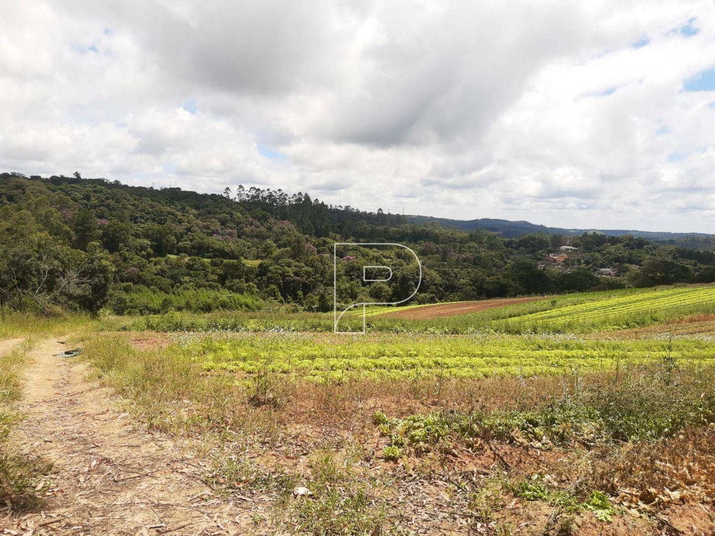 Terreno à venda, 39000M2 - Foto 30