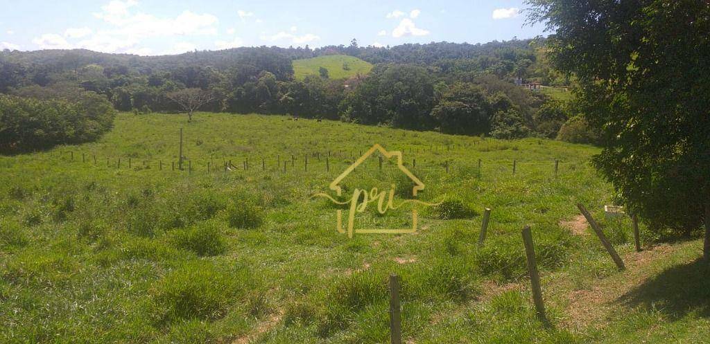 Fazenda à venda com 5 quartos, 1500m² - Foto 31