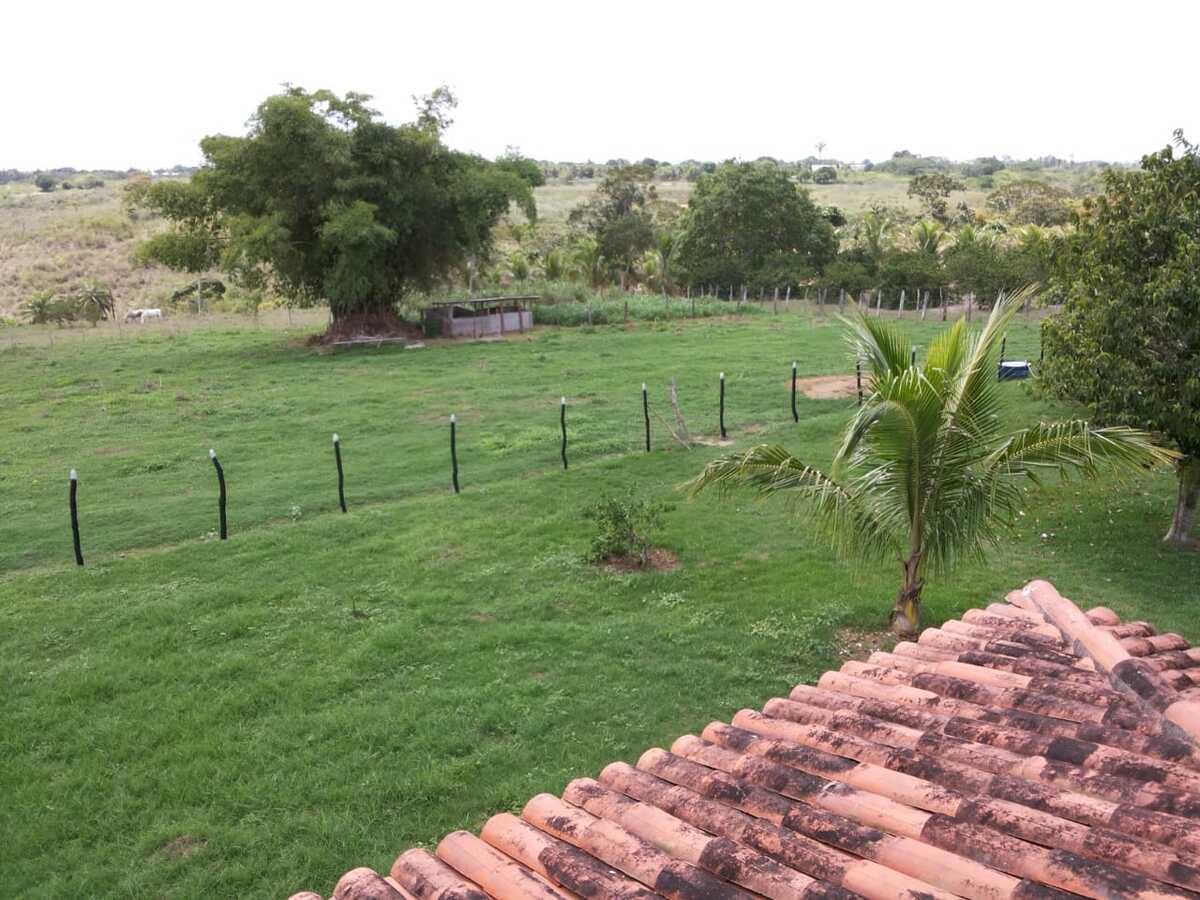 Fazenda à venda, 1000m² - Foto 23