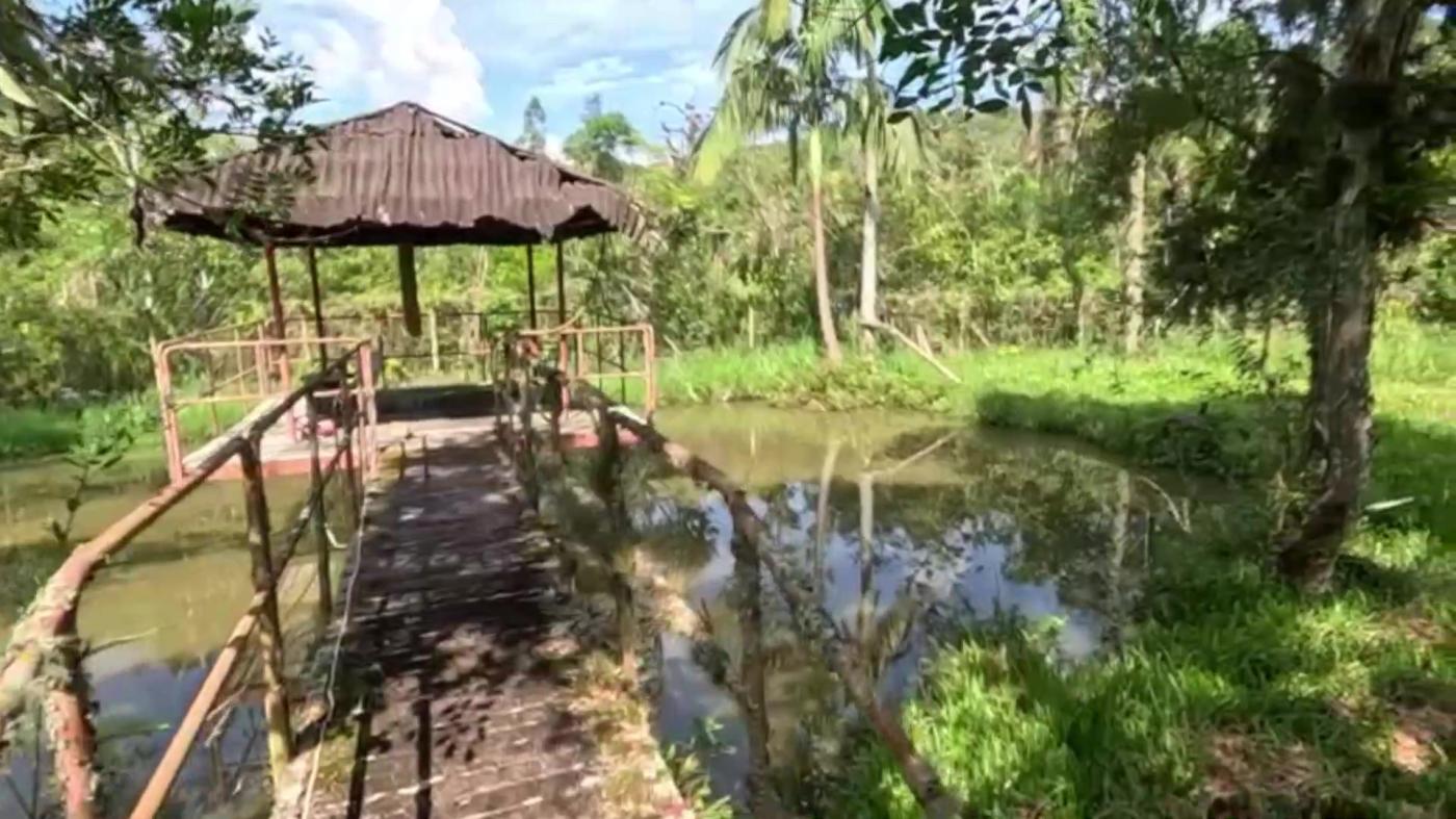 Casa de Condomínio à venda com 6 quartos, 9800m² - Foto 2