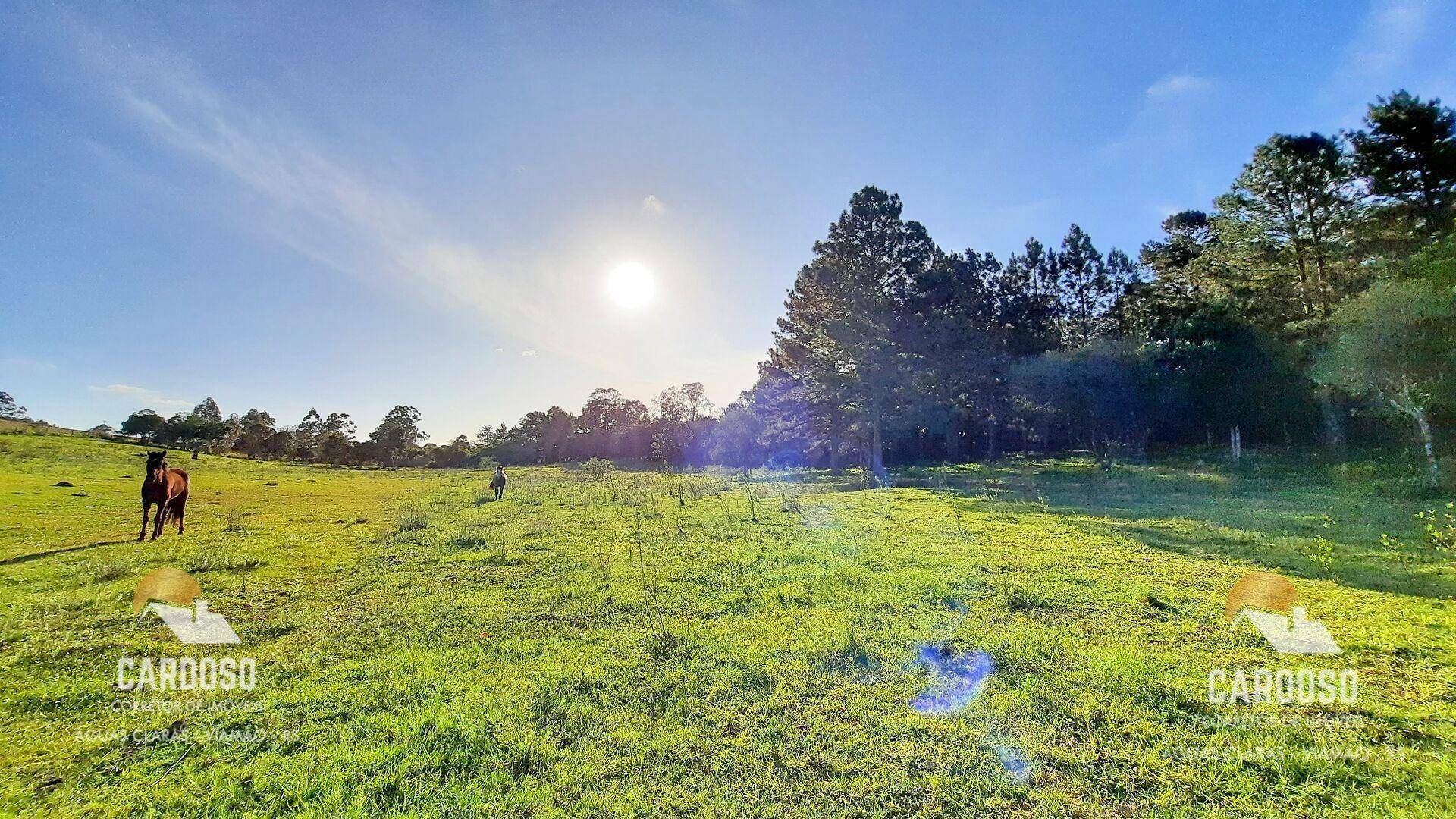 Sítio à venda, 117500M2 - Foto 1