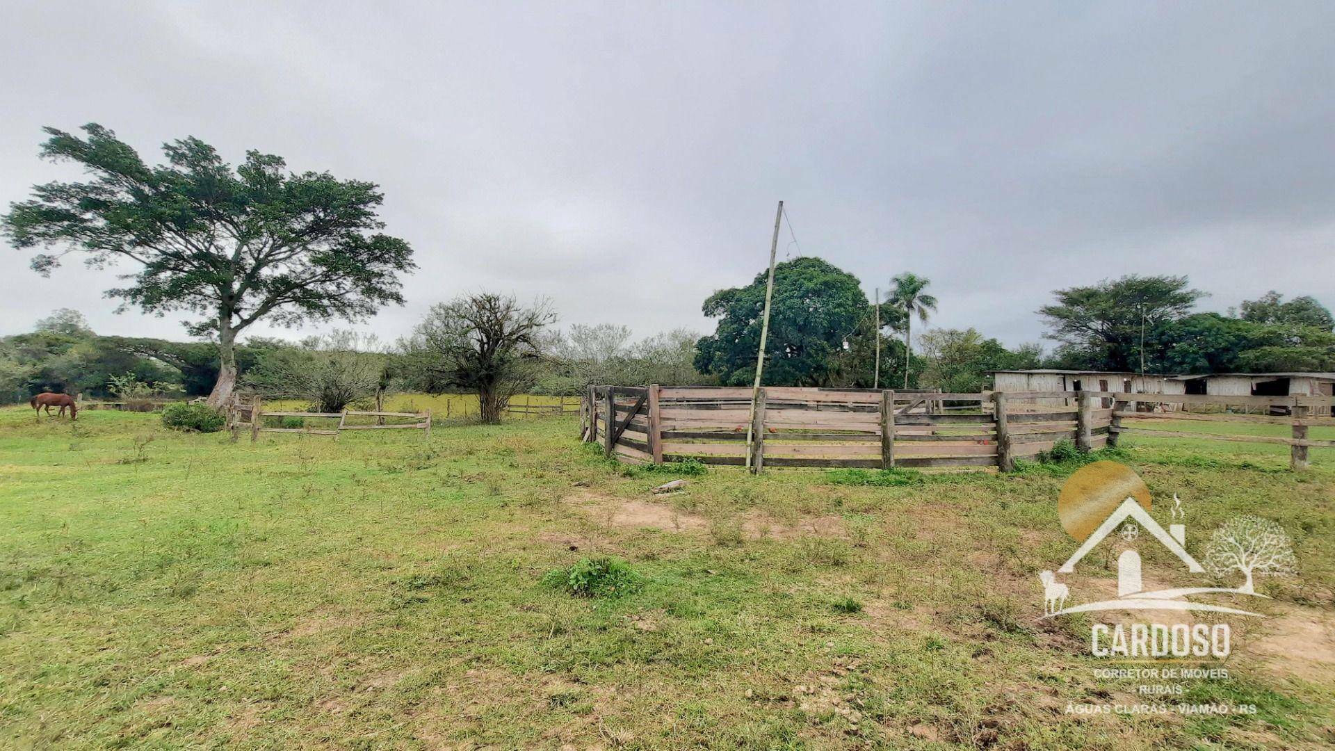 Haras e Área Rural Padrão à venda com 3 quartos, 270000M2 - Foto 5