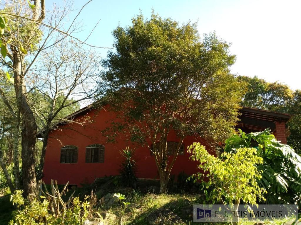 Fazenda à venda com 3 quartos, 8800m² - Foto 2