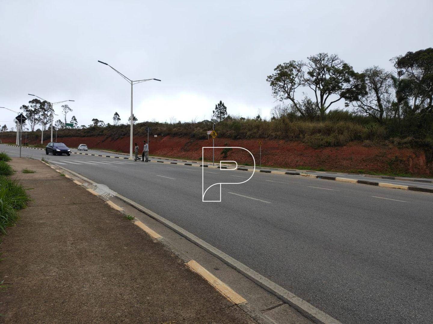 Terreno, 4 hectares - Foto 5