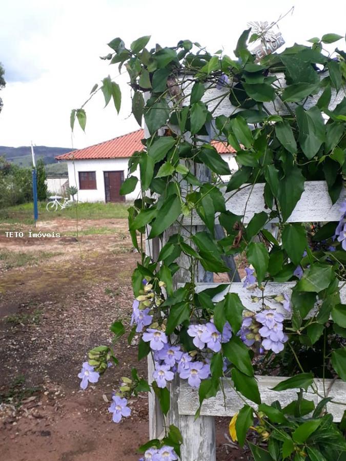 Fazenda à venda com 4 quartos, 1000m² - Foto 3