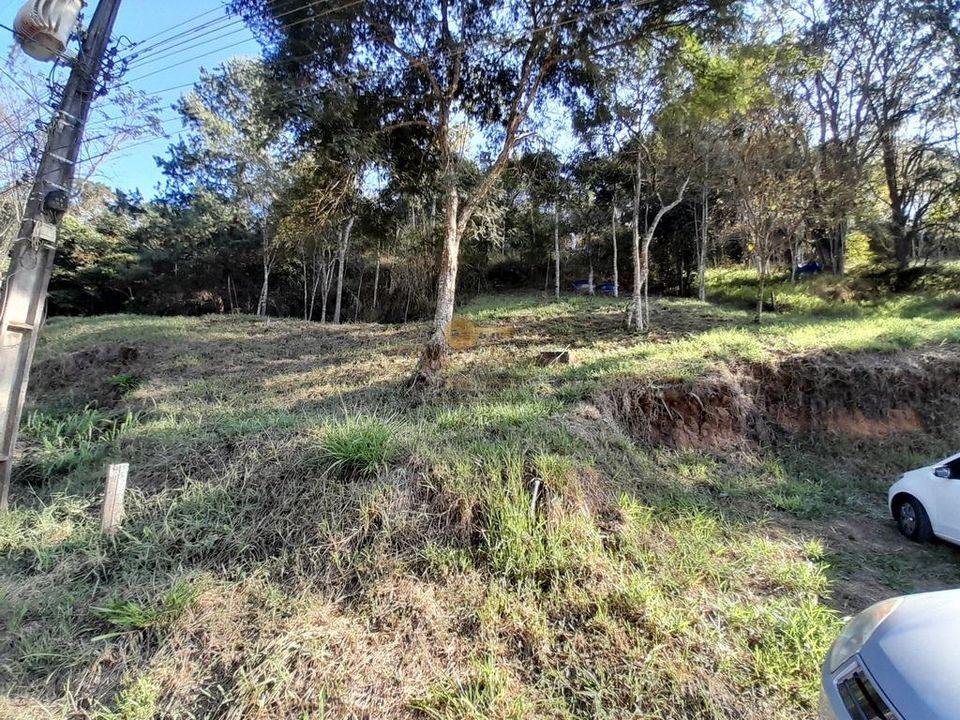 Sítio à venda com 4 quartos, 29000m² - Foto 55