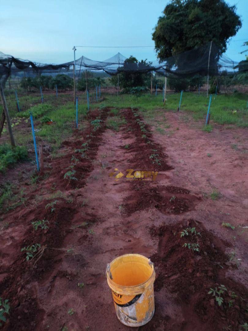 Chácara à venda com 2 quartos, 30000M2 - Foto 14