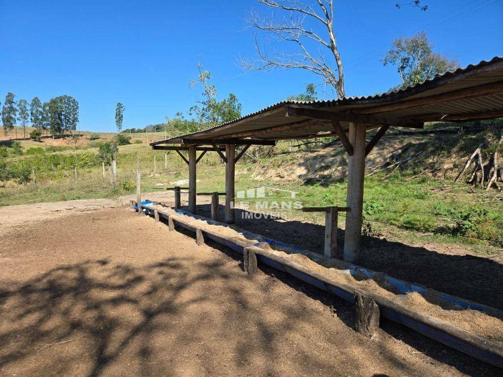 Fazenda à venda com 2 quartos, 400m² - Foto 30