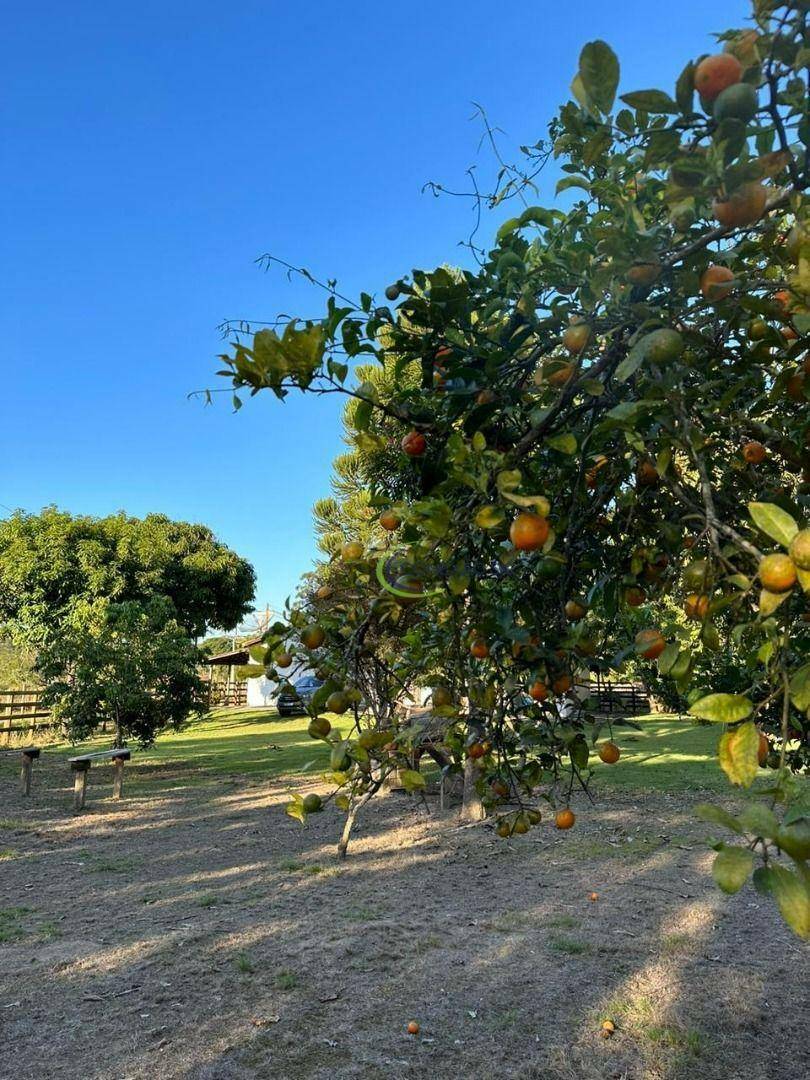 Chácara à venda com 3 quartos, 5000M2 - Foto 34