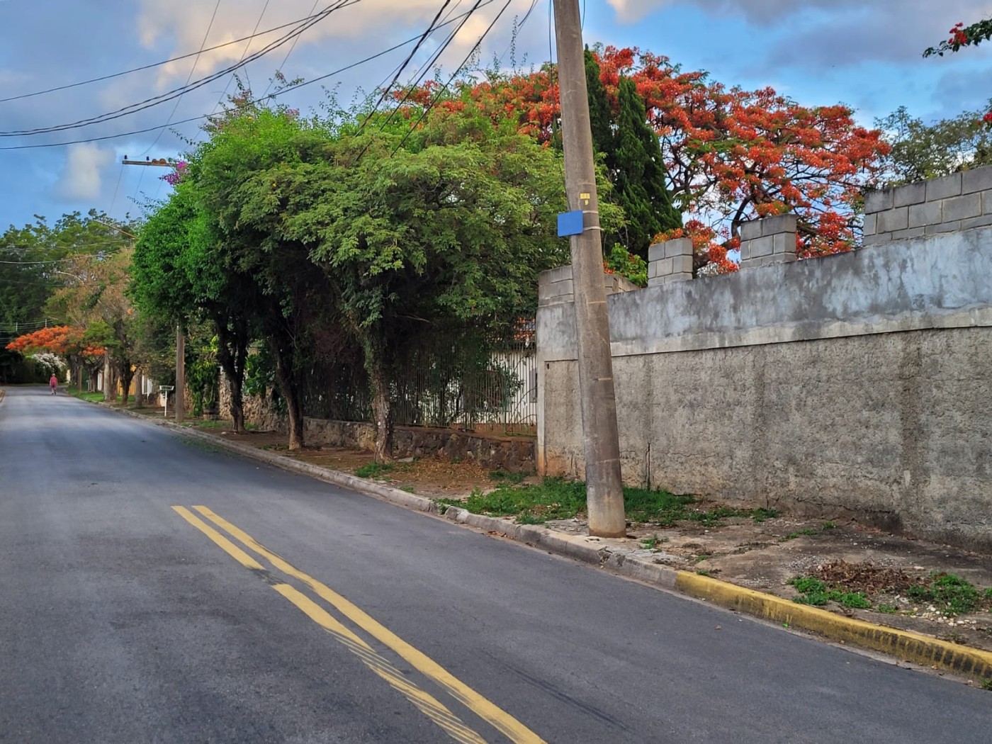 Casa à venda com 4 quartos, 2000m² - Foto 44